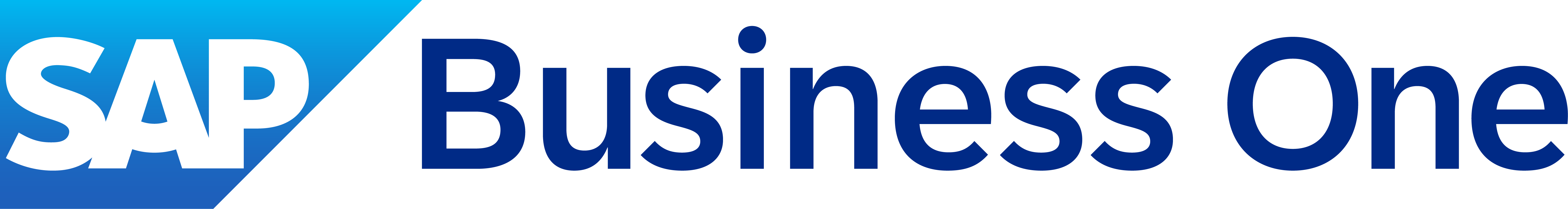 SAP Business One